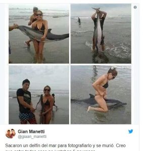 Imágenes de turistas con el delfín extraídas de Twitter